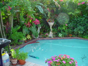 Victoria Park Fort Lauderdale Home - Pool 